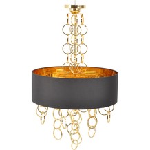 Black and Gold Hanging Light