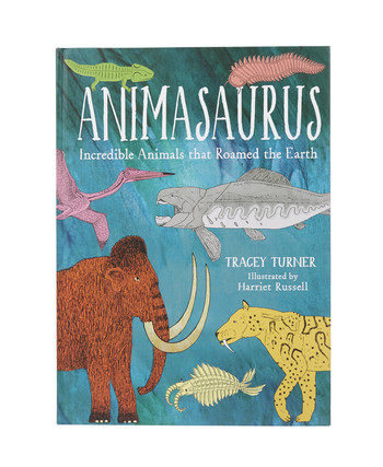 ANIMASAURUS