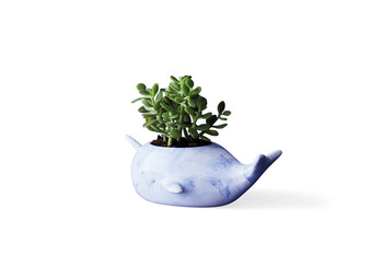 TK Maxx_Christmas_2020